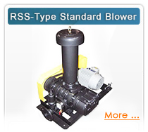 RSS-Type Standard Blower